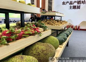 2018全國(guó)農(nóng)產(chǎn)品產(chǎn)銷(xiāo)對(duì)接行廣西站活動(dòng)舉行，食用油產(chǎn)業(yè)迎來(lái)新機(jī)遇
